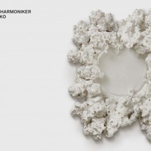 佩特連科與柏林愛樂：夥伴關係的開始 / 柏林愛樂 (5CD+2藍光CD)