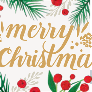 2016韓國星巴克聖誕快樂隨行卡