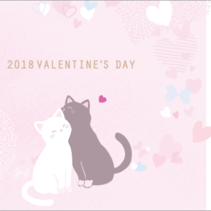 2018韓國星巴克情人節隨行卡