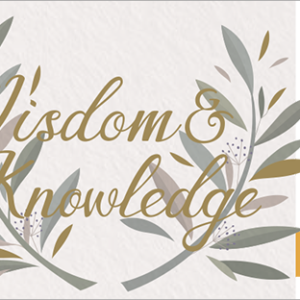 2019韓國星巴克學生隨行卡