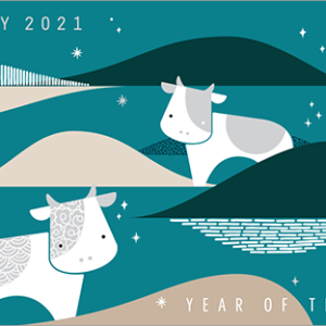 2021韓國星巴克新年隨行卡（藍色）