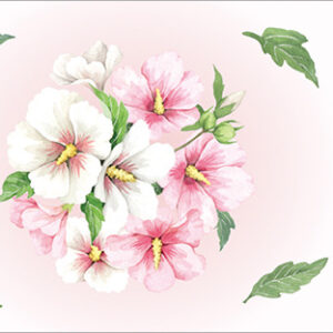 2021韓國星巴克木槿花隨行卡